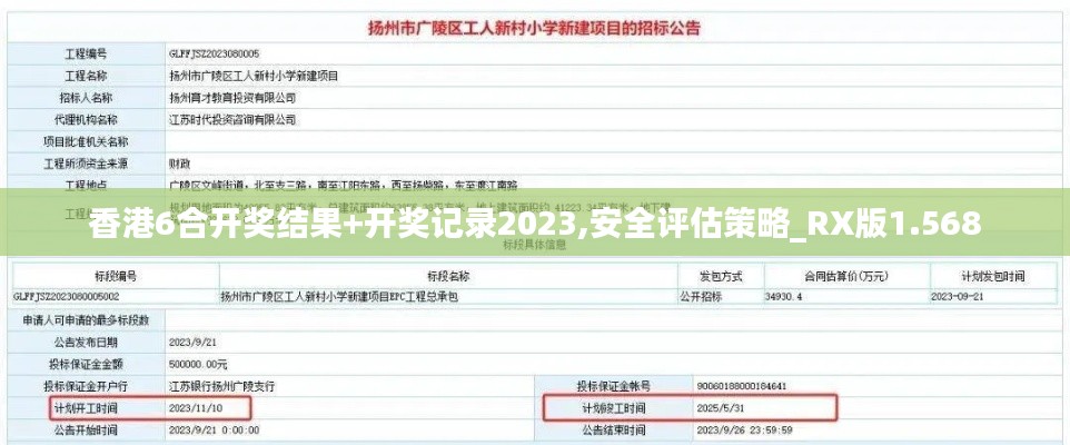 香港6合开奖结果+开奖记录2023,安全评估策略_RX版1.568