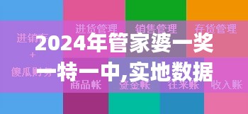 2024年管家婆一奖一特一中,实地数据执行分析_精装版10.845