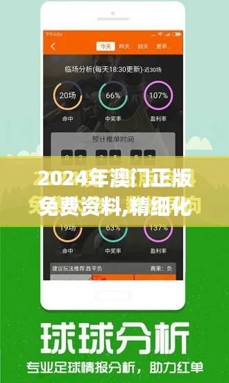 2024年澳门正版免费资料,精细化定义探讨_V210.449