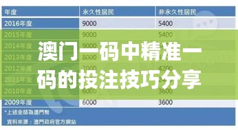 澳门一码中精准一码的投注技巧分享,深入分析定义策略_模拟版11.211