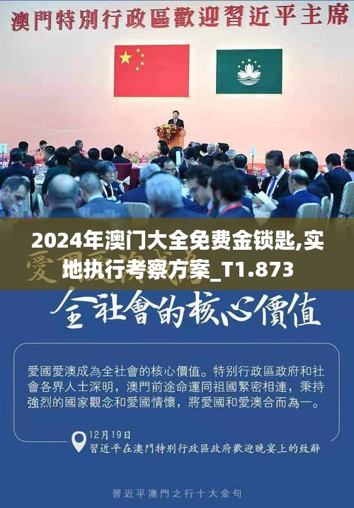 2024年澳门大全免费金锁匙,实地执行考察方案_T1.873