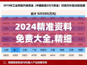 2024精准资料免费大全,精细设计解析_复刻版9.205