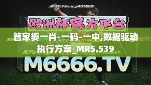 管家婆一肖-一码-一中,数据驱动执行方案_MR5.539