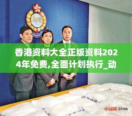 香港资料大全正版资料2024年免费,全面计划执行_动态版4.300