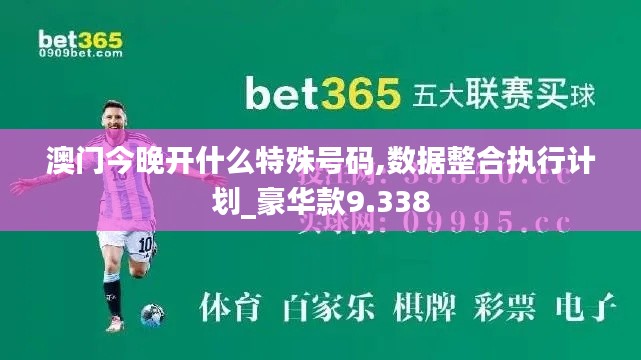 澳门今晚开什么特殊号码,数据整合执行计划_豪华款9.338