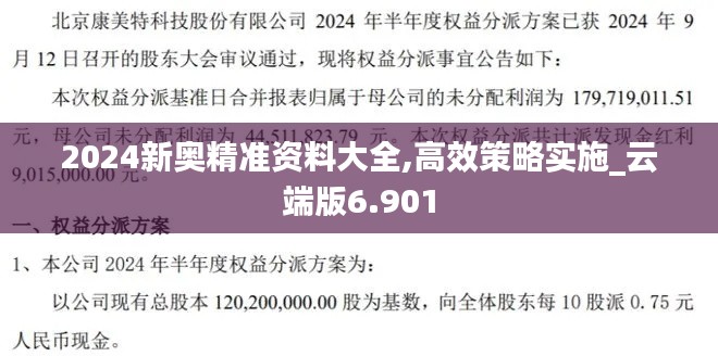 2024新奥精准资料大全,高效策略实施_云端版6.901