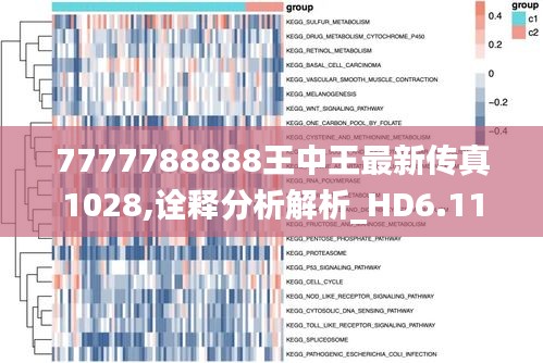 7777788888王中王最新传真1028,诠释分析解析_HD6.113