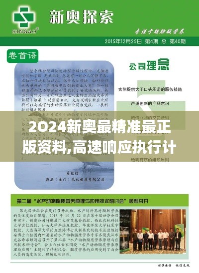 2O24新奥最精准最正版资料,高速响应执行计划_RX版2.839