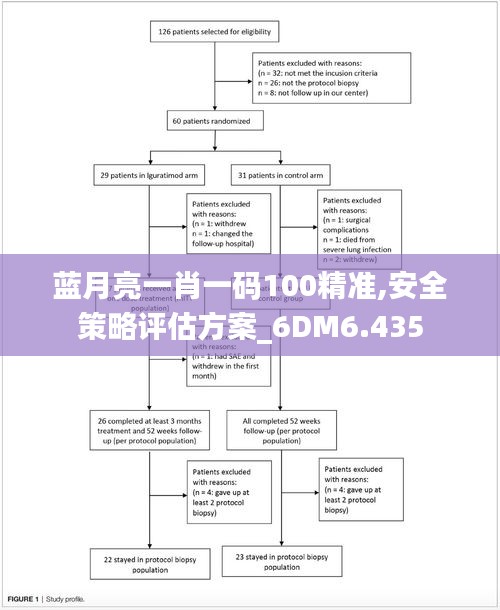 蓝月亮一肖一码100精准,安全策略评估方案_6DM6.435