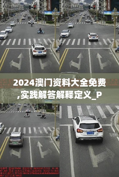 2024澳门资料大全免费,实践解答解释定义_PT2.296