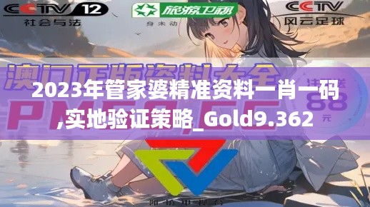 2023年管家婆精准资料一肖一码,实地验证策略_Gold9.362