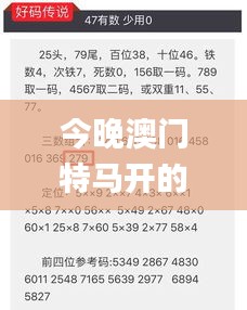 今晚澳门特马开的什么号码2024,实践说明解析_AP7.999