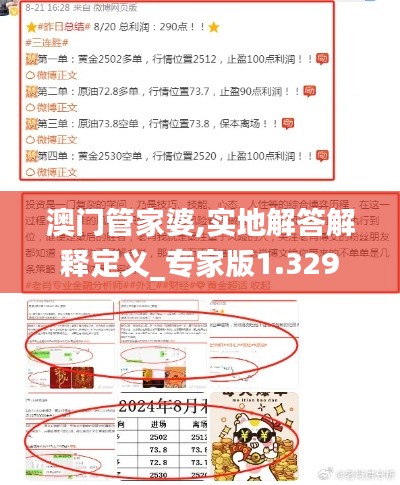 澳门管家婆,实地解答解释定义_专家版1.329