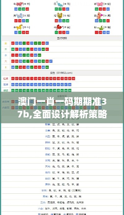 澳门一肖一码期期准37b,全面设计解析策略_4DM13.379