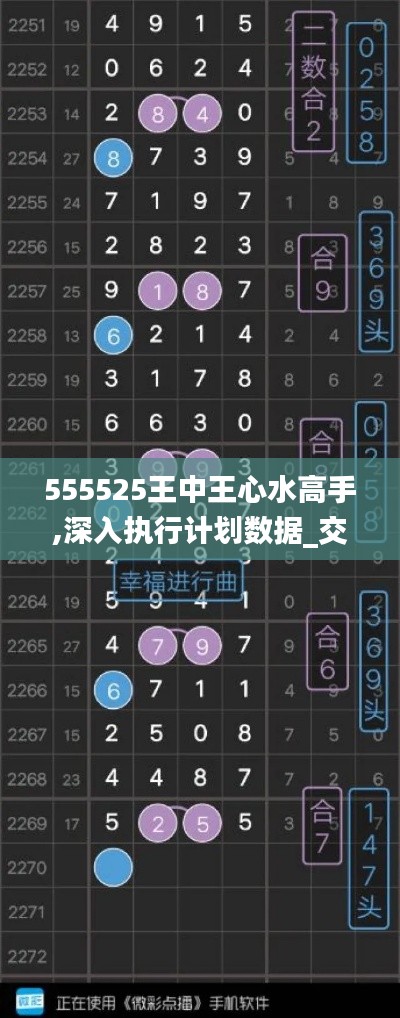 555525王中王心水高手,深入执行计划数据_交互版8.133