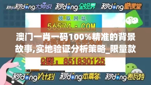 澳门一肖一码100%精准的背景故事,实地验证分析策略_限量款9.269