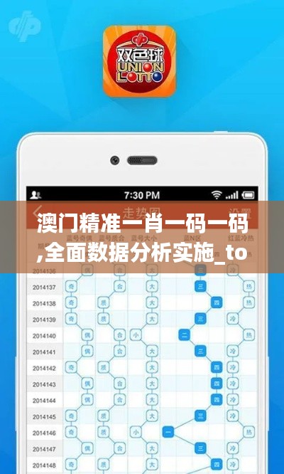 澳门精准一肖一码一码,全面数据分析实施_tool3.162