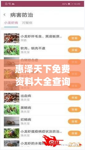 惠泽天下免费资料大全查询,整体执行讲解_W1.972