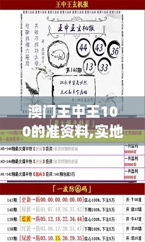 澳门王中王100的准资料,实地数据执行分析_SP8.173