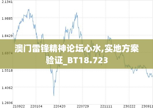 澳门雷锋精神论坛心水,实地方案验证_BT18.723