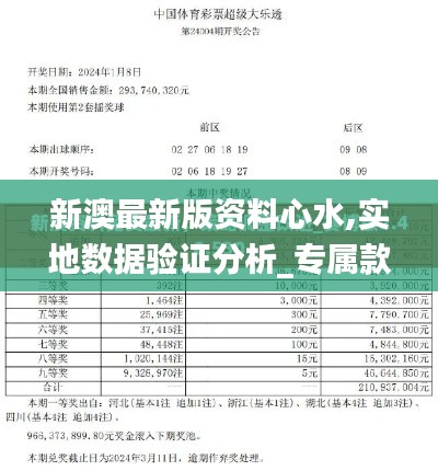 新澳最新版资料心水,实地数据验证分析_专属款11.112