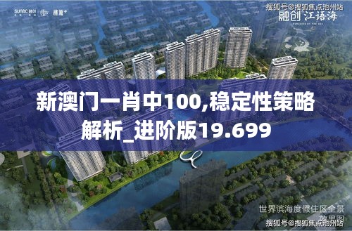 新澳门一肖中100,稳定性策略解析_进阶版19.699