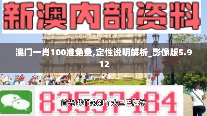 澳门一肖100准免费,定性说明解析_影像版5.912