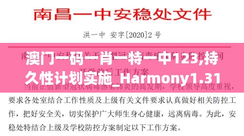 澳门一码一肖一特一中123,持久性计划实施_Harmony1.319