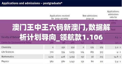 澳门王中王六码新澳门,数据解析计划导向_领航款1.106