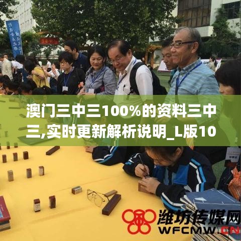 澳门三中三100%的资料三中三,实时更新解析说明_L版10.243