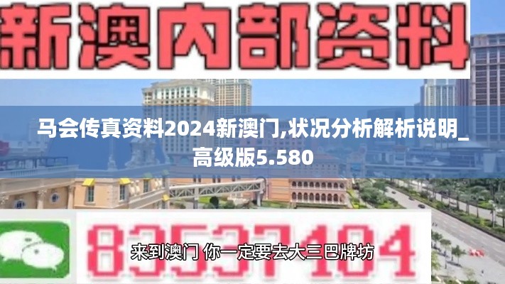 马会传真资料2024新澳门,状况分析解析说明_高级版5.580