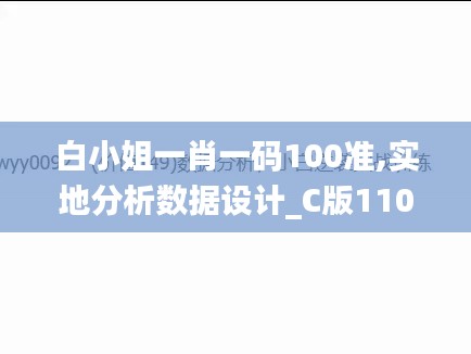 白小姐一肖一码100准,实地分析数据设计_C版110.359