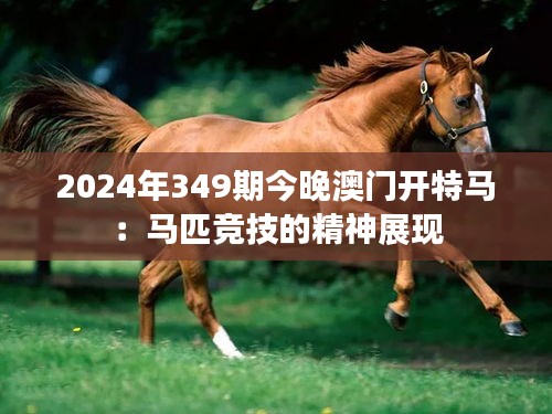 2024年349期今晚澳门开特马：马匹竞技的精神展现