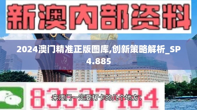 2024澳门精准正版图库,创新策略解析_SP4.885