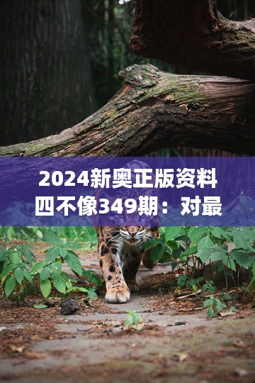 2024新奥正版资料四不像349期：对最新一期四不像的深入观察与思考