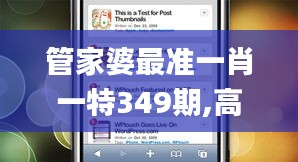 管家婆最准一肖一特349期,高效策略实施_WP110.939