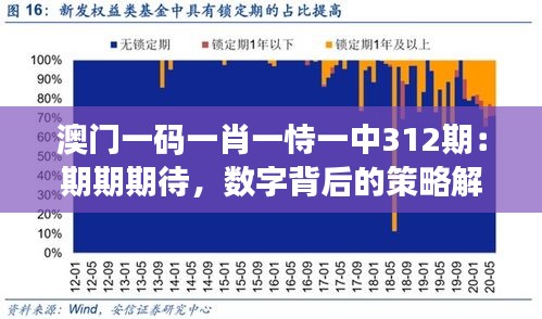 澳门一码一肖一恃一中312期：期期期待，数字背后的策略解析