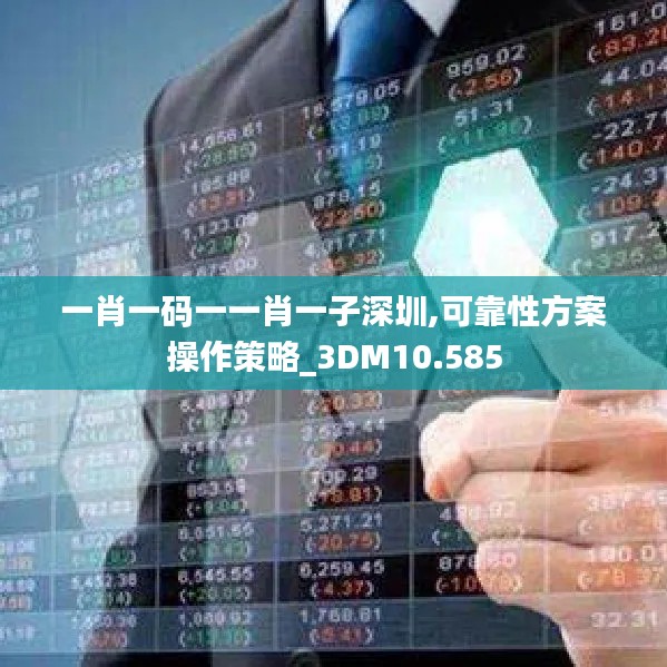 一肖一码一一肖一子深圳,可靠性方案操作策略_3DM10.585