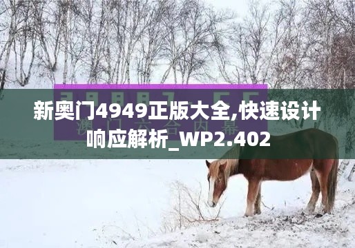 新奥门4949正版大全,快速设计响应解析_WP2.402