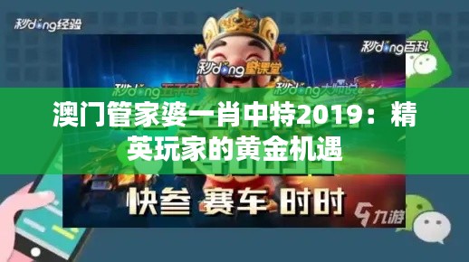 澳门管家婆一肖中特2019：精英玩家的黄金机遇