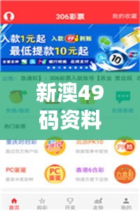 新澳49码资料免费大全：揭秘彩票背后的秘密与技巧