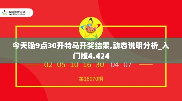 今天晚9点30开特马开奖结果,动态说明分析_入门版4.424