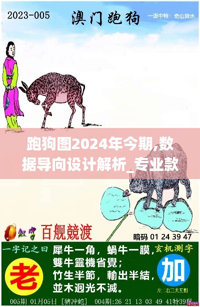 跑狗图2024年今期,数据导向设计解析_专业款12.195