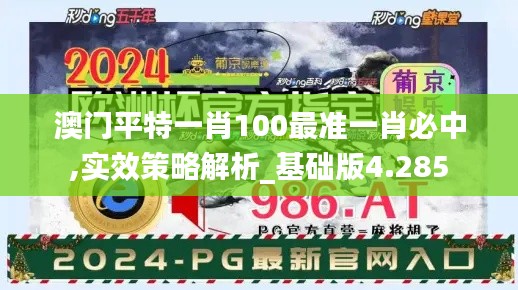 澳门平特一肖100最准一肖必中,实效策略解析_基础版4.285