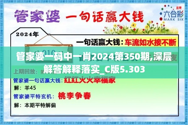 管家婆一码中一肖2024第350期,深层解答解释落实_C版5.303