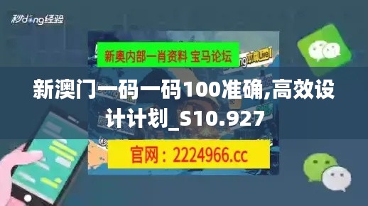 新澳门一码一码100准确,高效设计计划_S10.927