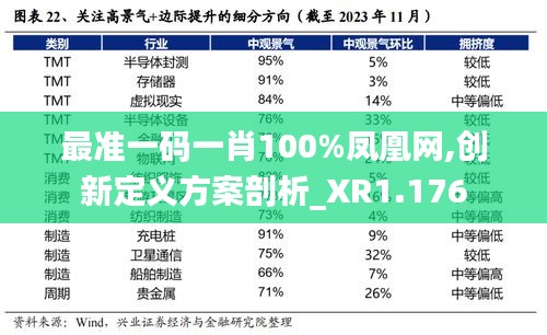 最准一码一肖100%凤凰网,创新定义方案剖析_XR1.176