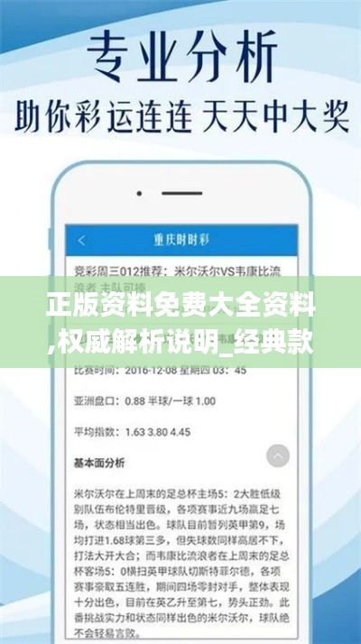 正版资料免费大全资料,权威解析说明_经典款7.418