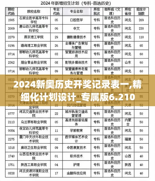 2024新奥历史开奖记录表一,精细化计划设计_专属版6.210