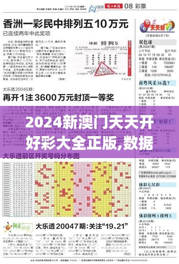 2024新澳门天天开好彩大全正版,数据设计支持计划_投资版3.226